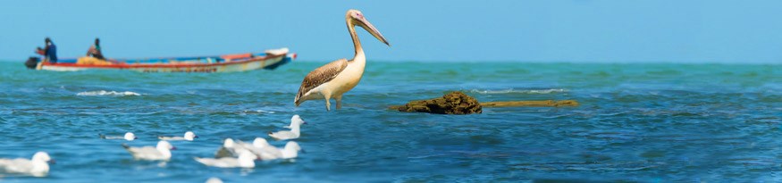 Gambia na wakacje